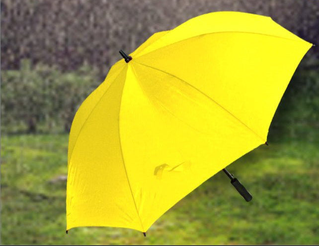 Branded Logo Umbrella - Bangor Signage, Print & Embroidery