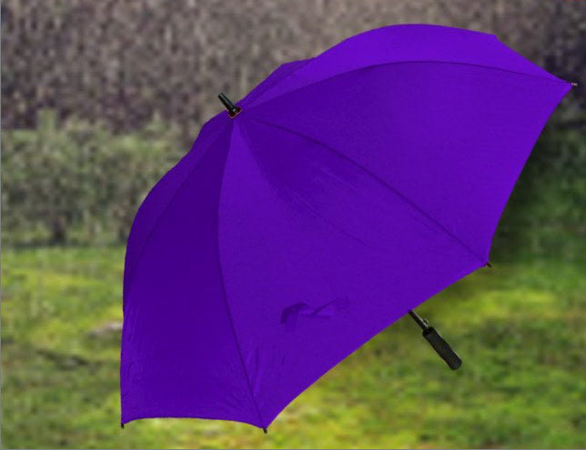 Branded Logo Umbrella - Bangor Signage, Print & Embroidery